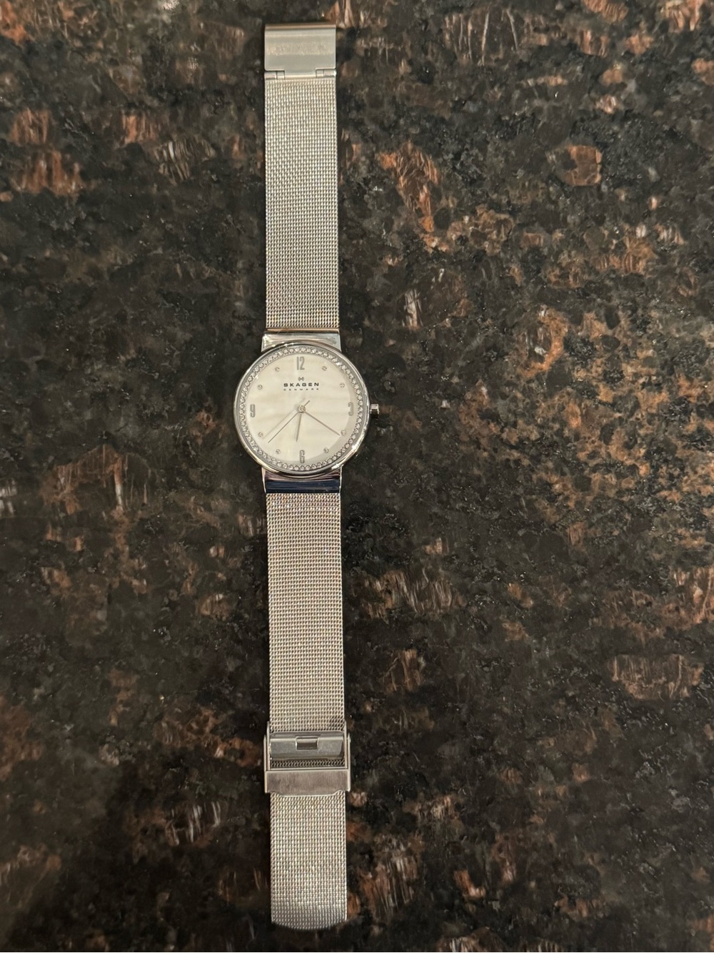 Skagen Silver Mesh Band Men's Watch with Crystal Bezel